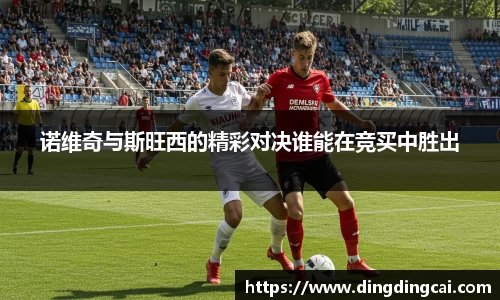 诺维奇与斯旺西的精彩对决谁能在竞买中胜出